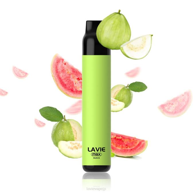 グアバ LAVIE BAR 5000 パフ - 最大 260P284 | Lavie Store Japan